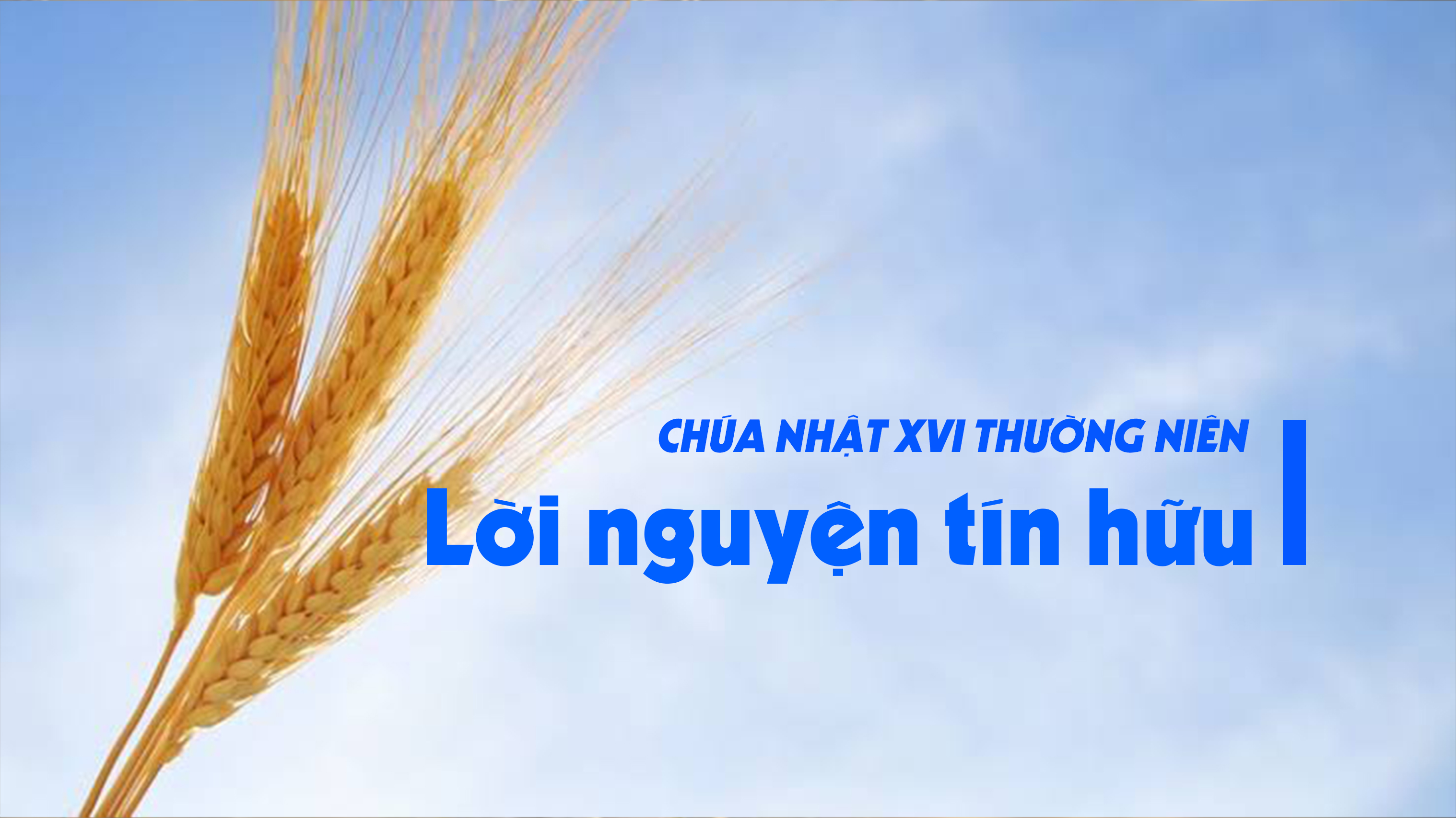 Lời nguyện tín hữu - Chúa nhật XVI thường niên - năm A